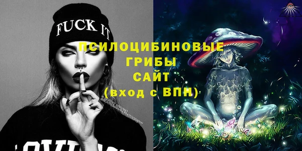 бошки Володарск