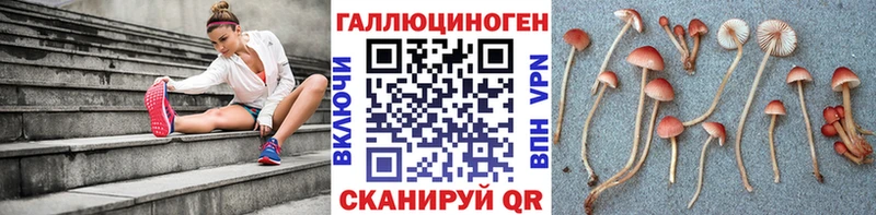 Купить  Кемь  Галлюциногенные грибы Cubensis 